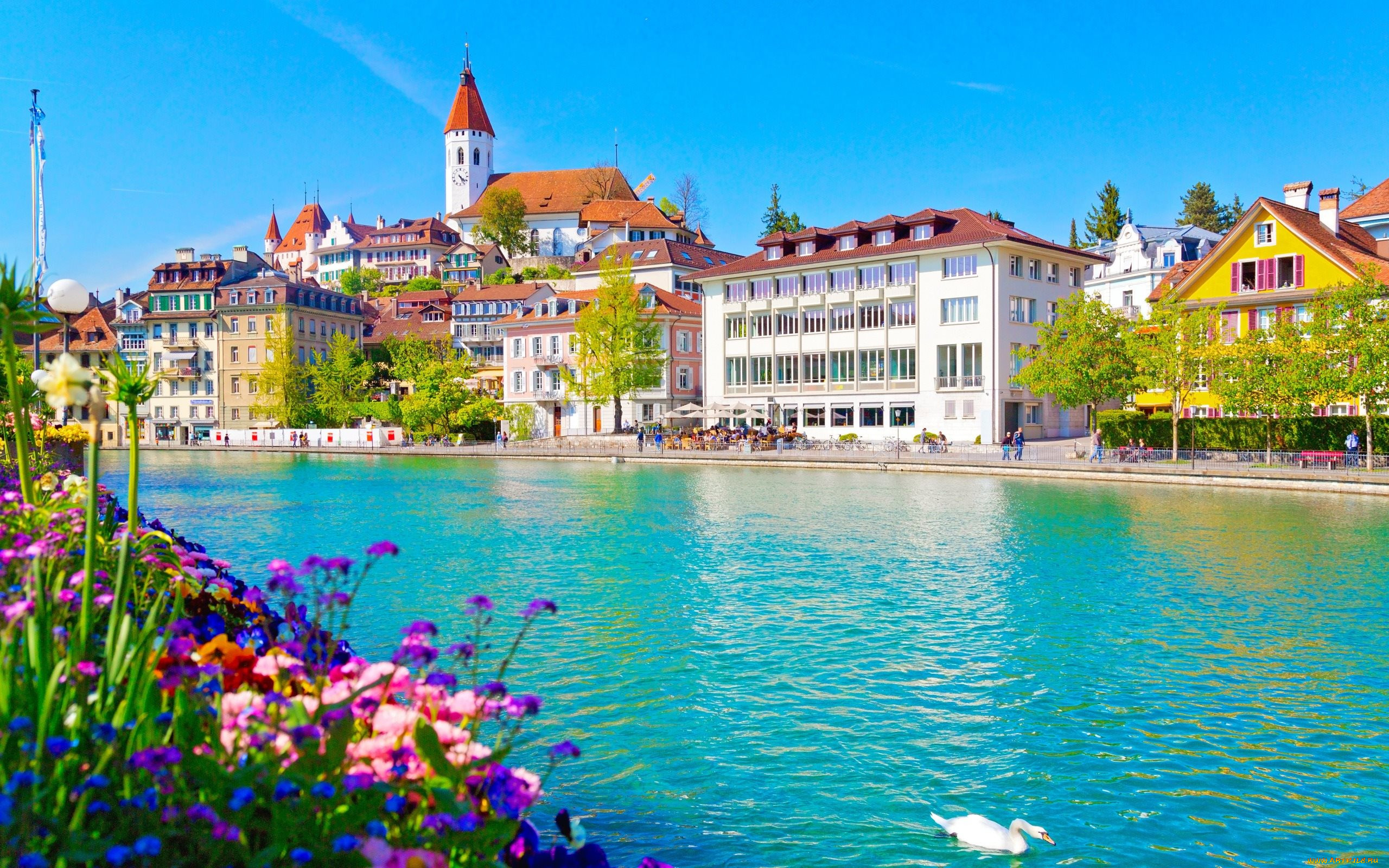 thun, switzerland, , - ,  ,  